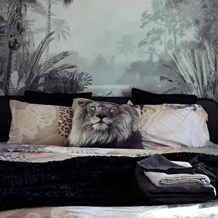 Maison Farol 4* Саль